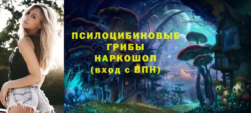 закладки  Лабинск  Псилоцибиновые грибы Magic Shrooms 